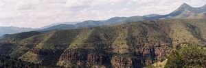 Above the Blue River