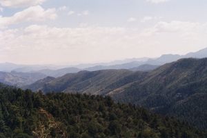 Looking Towards Enchantment