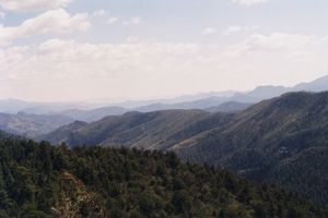 Looking Towards Enchantment